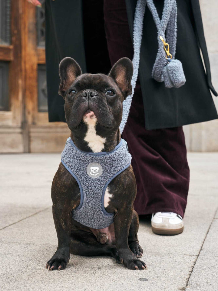 CORREA PARA PERRO TEDDY NAVY