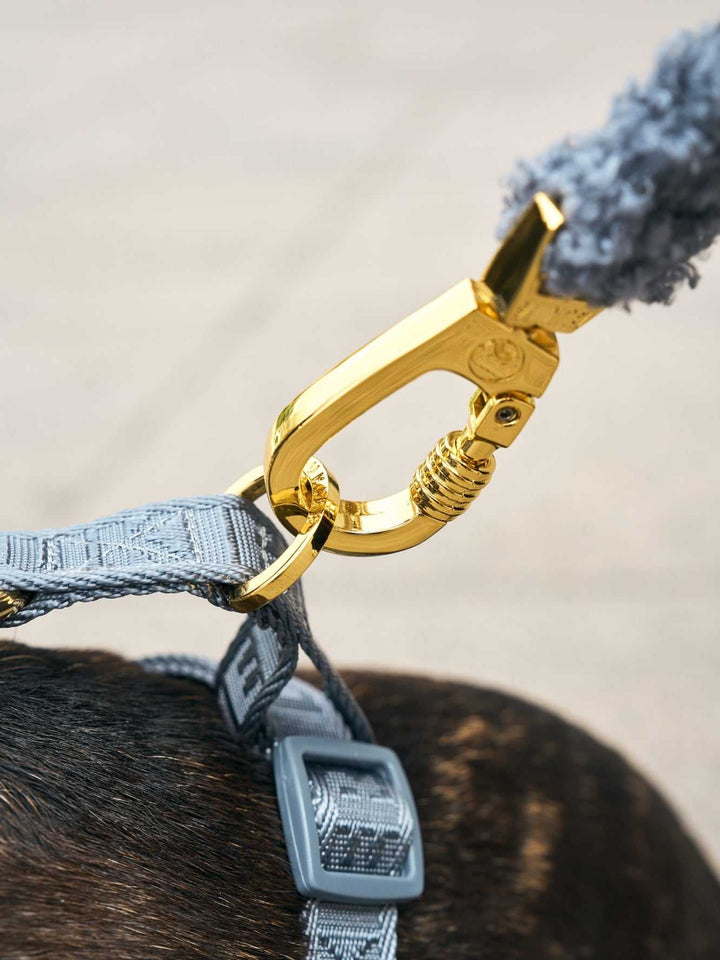 CORREA PARA PERRO TEDDY NAVY