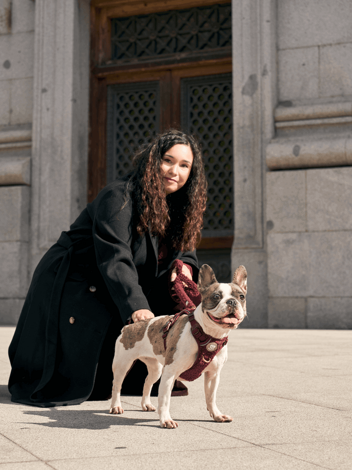 ARNÉS TRAIL PARA PERRO TEDDY CHERRY - Dukier