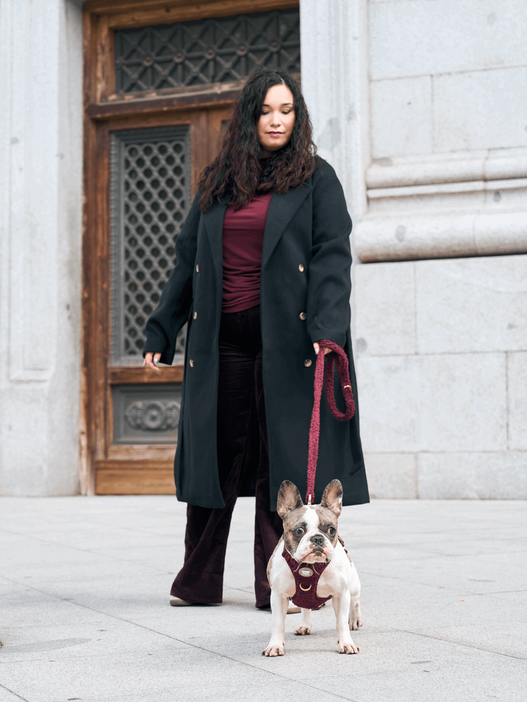 ARNÉS TRAIL PARA PERRO TEDDY CHERRY - Dukier