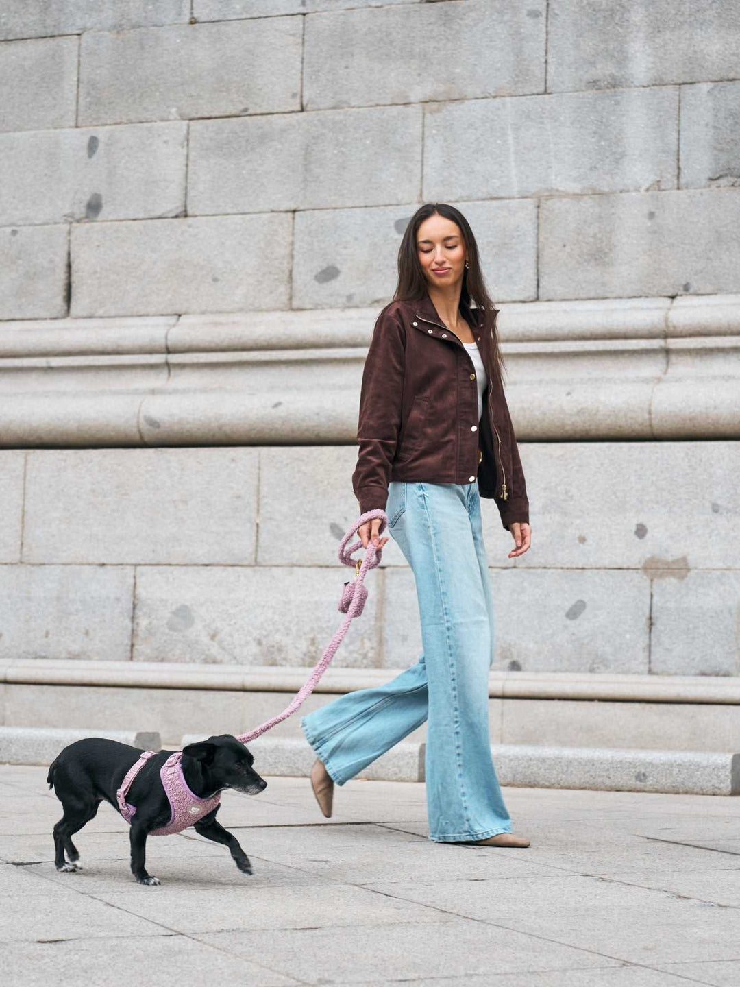 CORREA PARA PERRO TEDDY LILAC