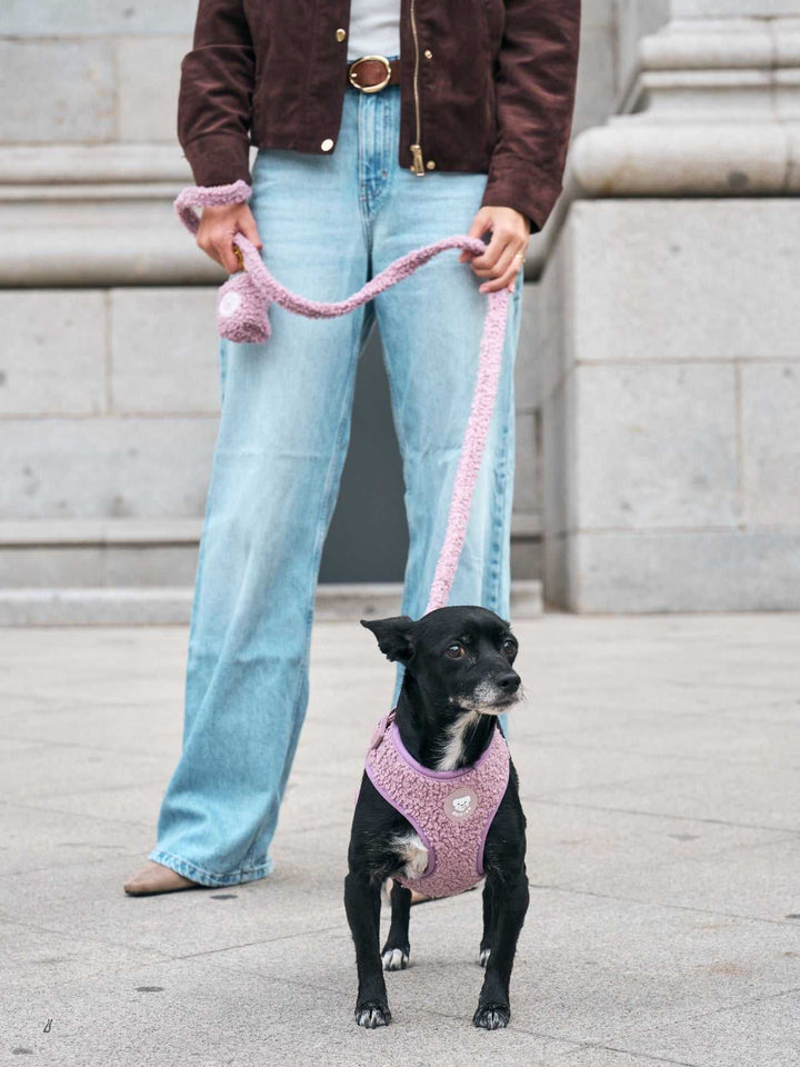 CORREA PARA PERRO TEDDY LILAC