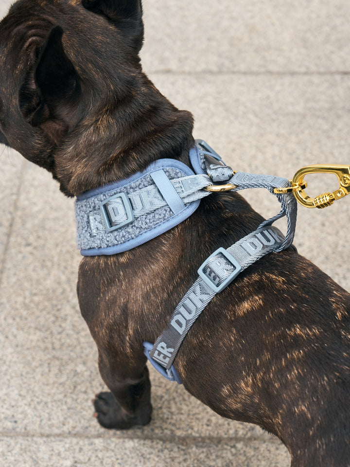 ARNÉS AJUSTABLE PARA PERRO TEDDY NAVY