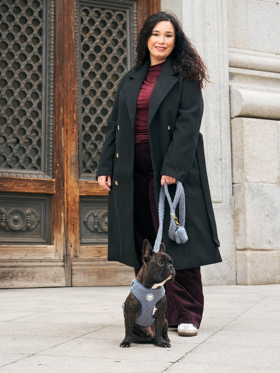 ARNÉS AJUSTABLE PARA PERRO TEDDY NAVY