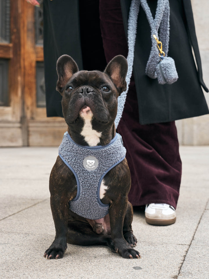 ARNÉS AJUSTABLE PARA PERRO TEDDY NAVY