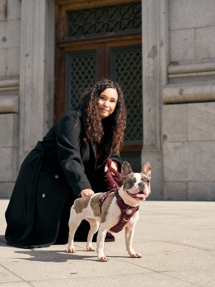 ARNÉS TRAIL PARA PERRO TEDDY CHERRY