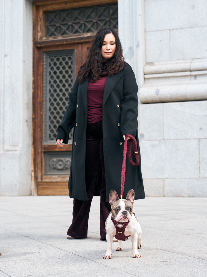 ARNÉS TRAIL PARA PERRO TEDDY CHERRY