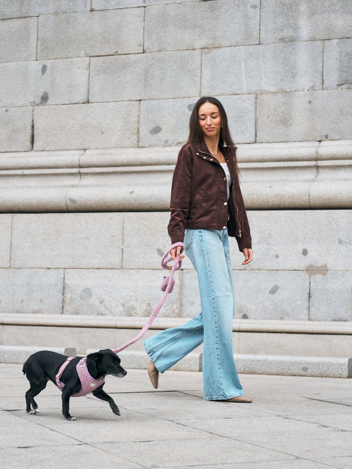 CORREA PARA PERRO TEDDY LILAC