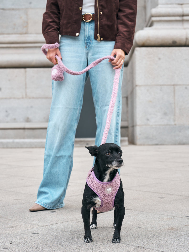 CORREA PARA PERRO TEDDY LILAC