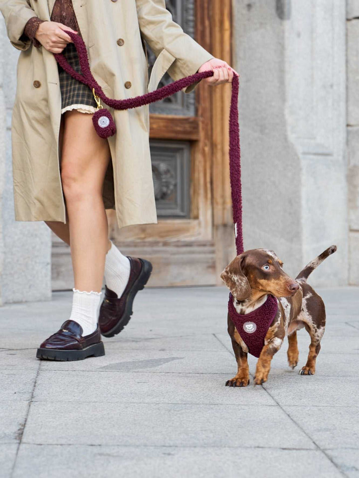 PORTA BOLSAS CACA TEDDY CHERRY