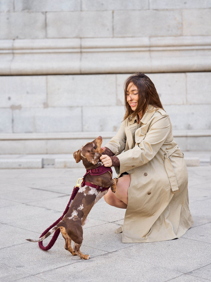 ARNÉS AJUSTABLE PARA PERRO TEDDY CHERRY