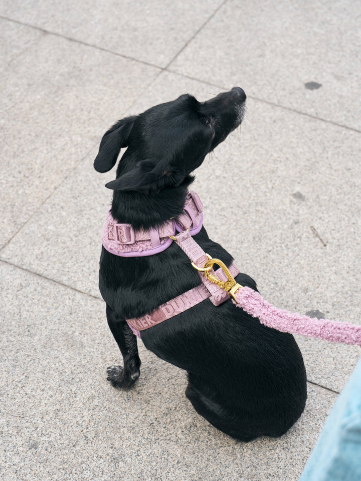 ARNÉS AJUSTABLE PARA PERRO TEDDY LILAC