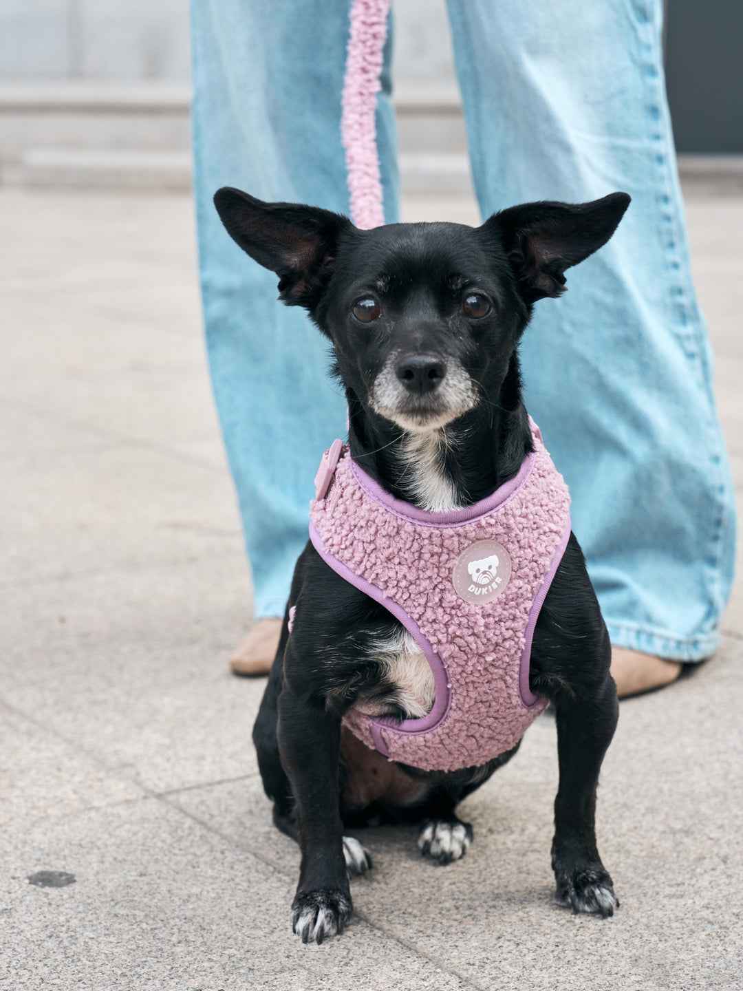 ARNÉS AJUSTABLE PARA PERRO TEDDY LILAC