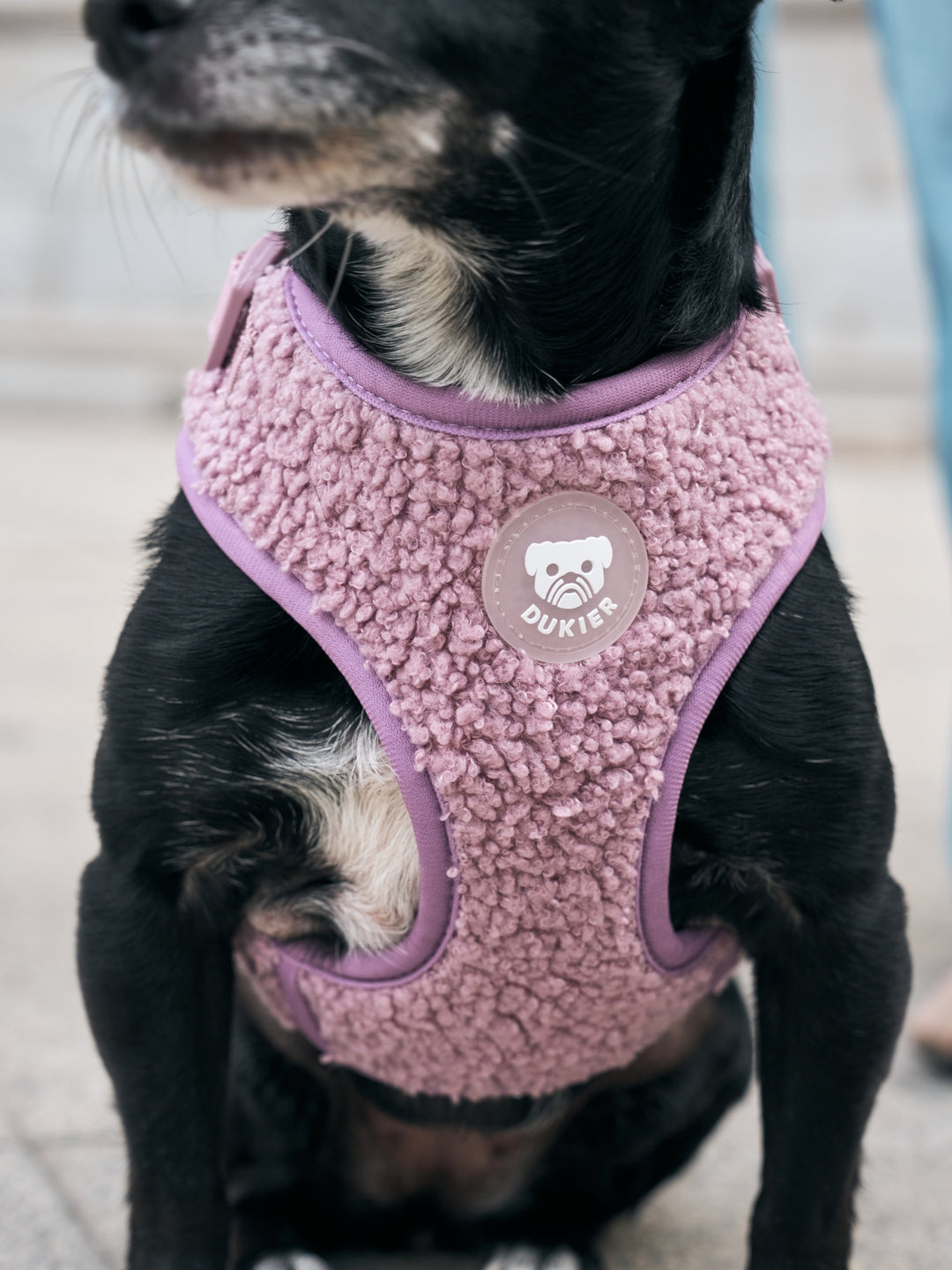 ARNÉS AJUSTABLE PARA PERRO TEDDY LILAC