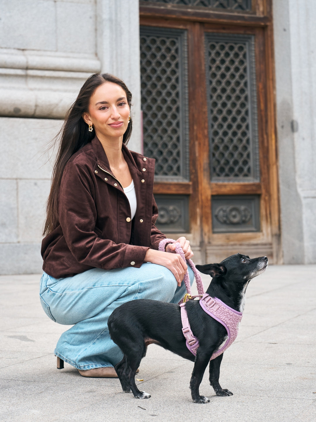 ARNÉS AJUSTABLE PARA PERRO TEDDY LILAC