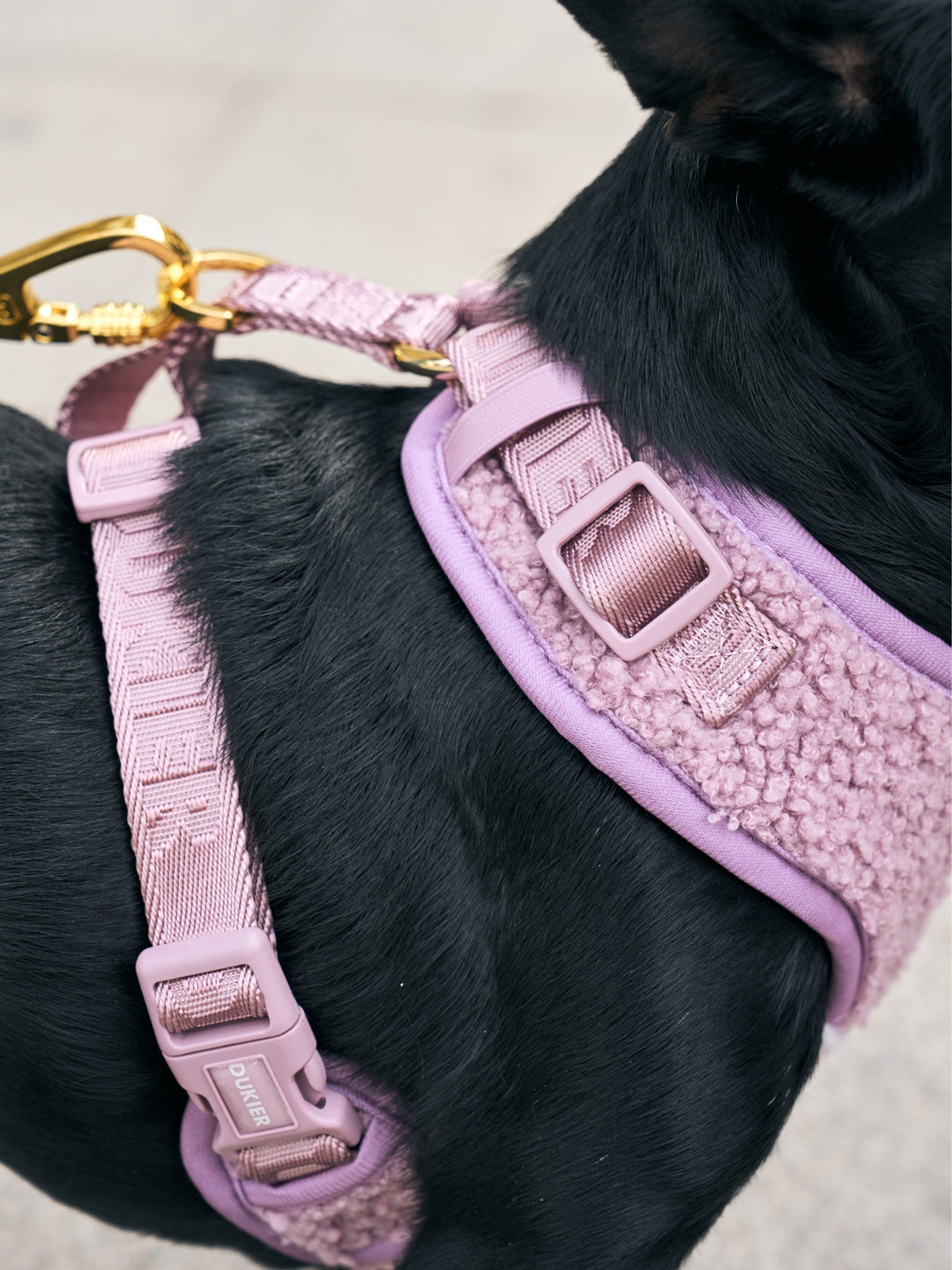 ARNÉS AJUSTABLE PARA PERRO TEDDY LILAC