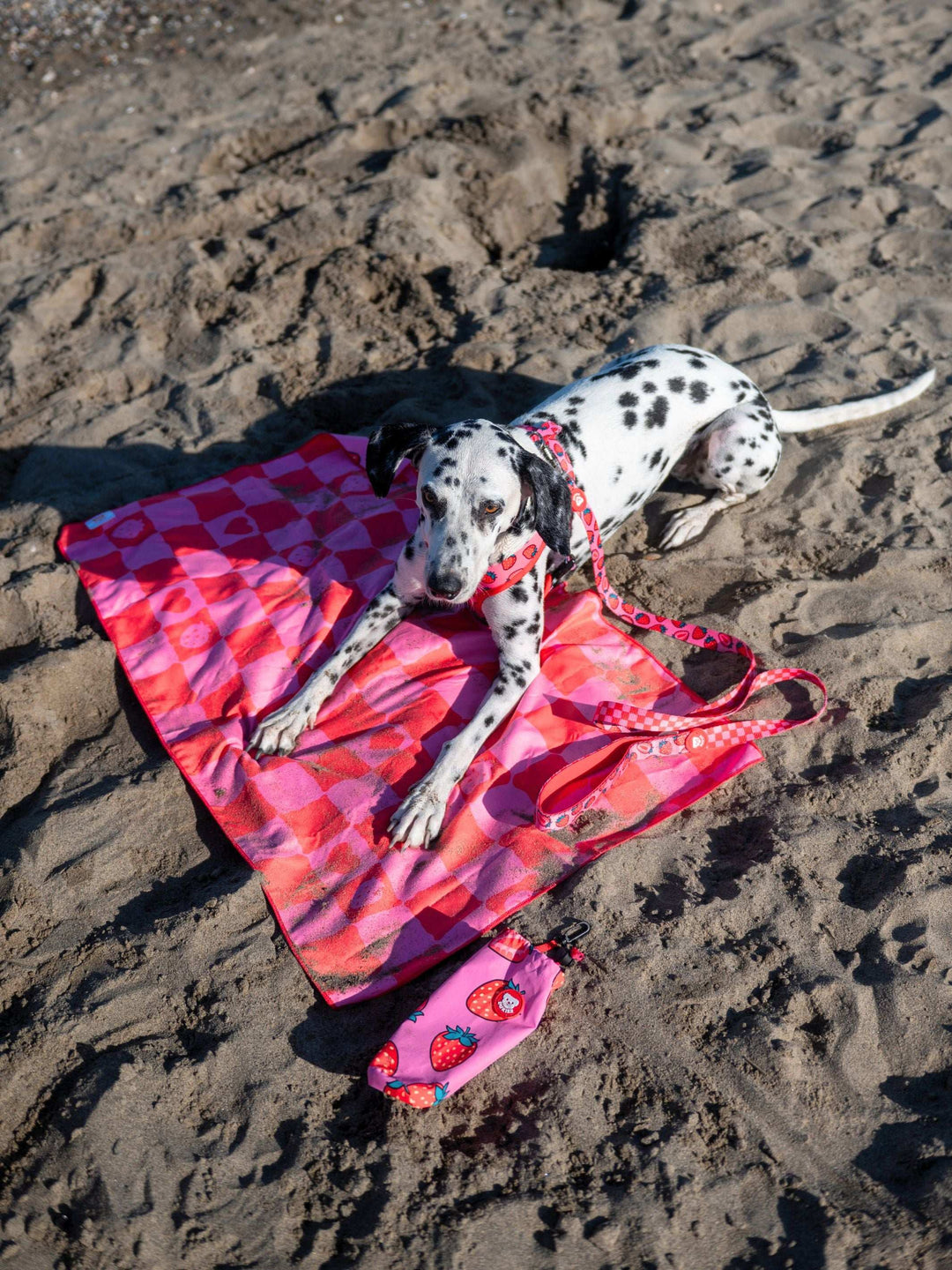 TOALLA PARA PERRO BERRY LOVE