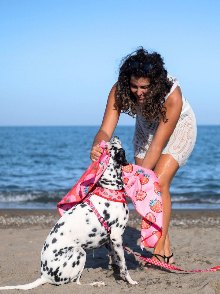 TOALLA PARA PERRO BERRY LOVE