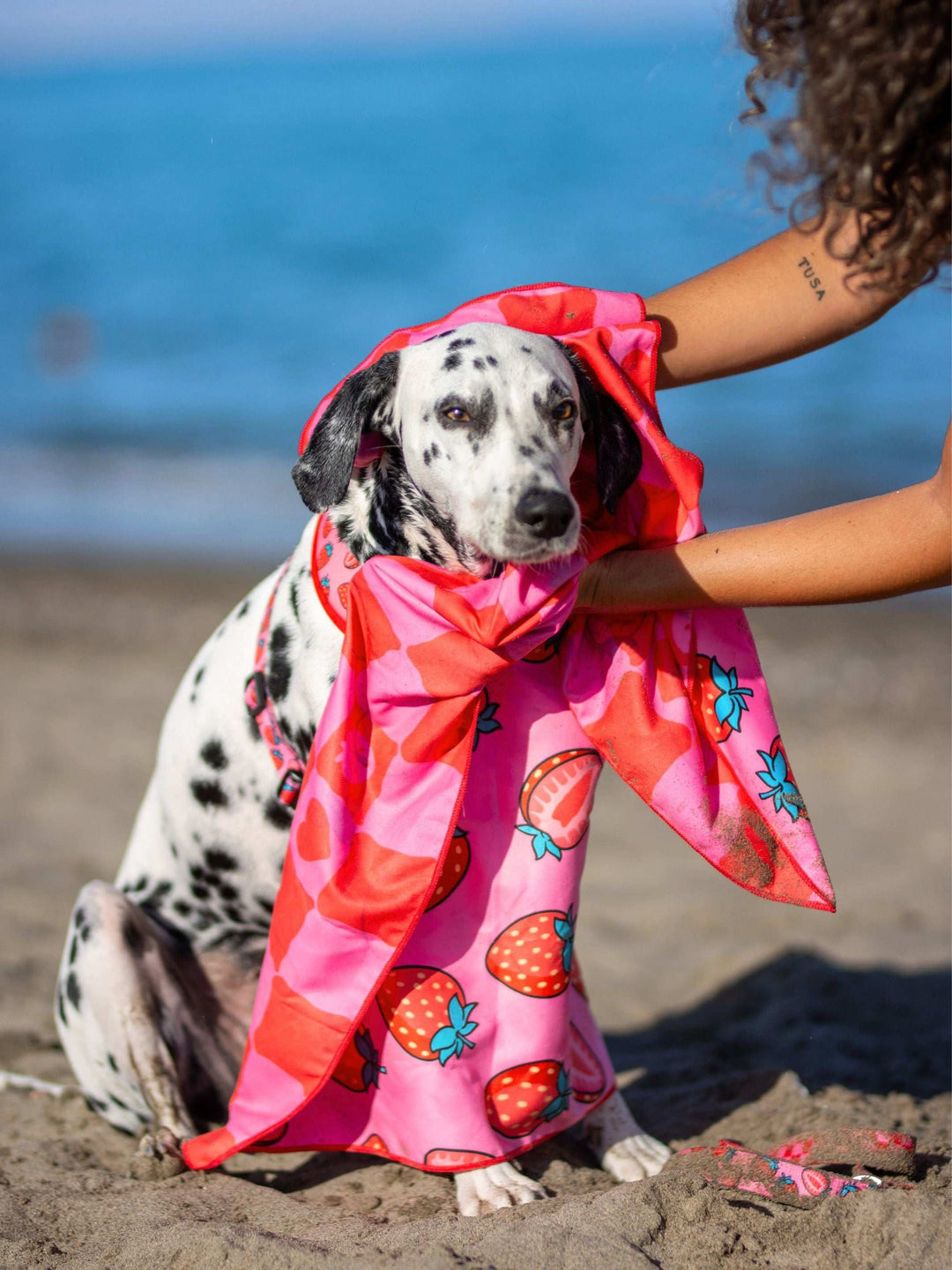 TOALLA PARA PERRO BERRY LOVE