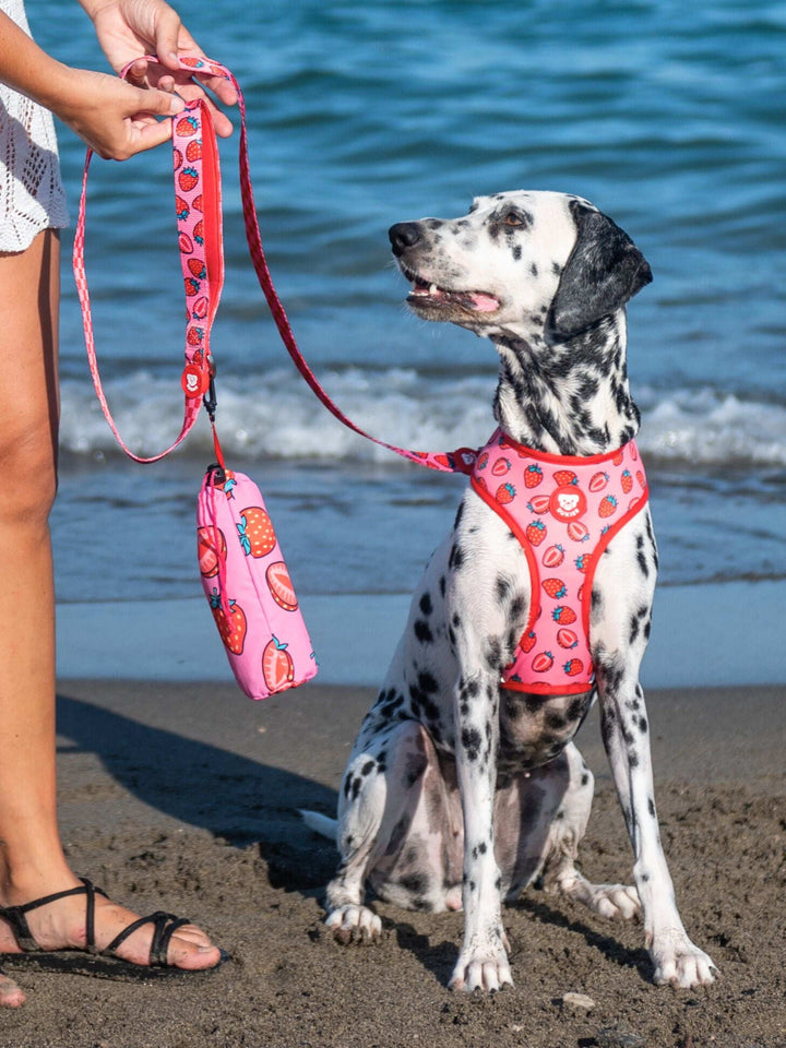 TOALLA PARA PERRO BERRY LOVE