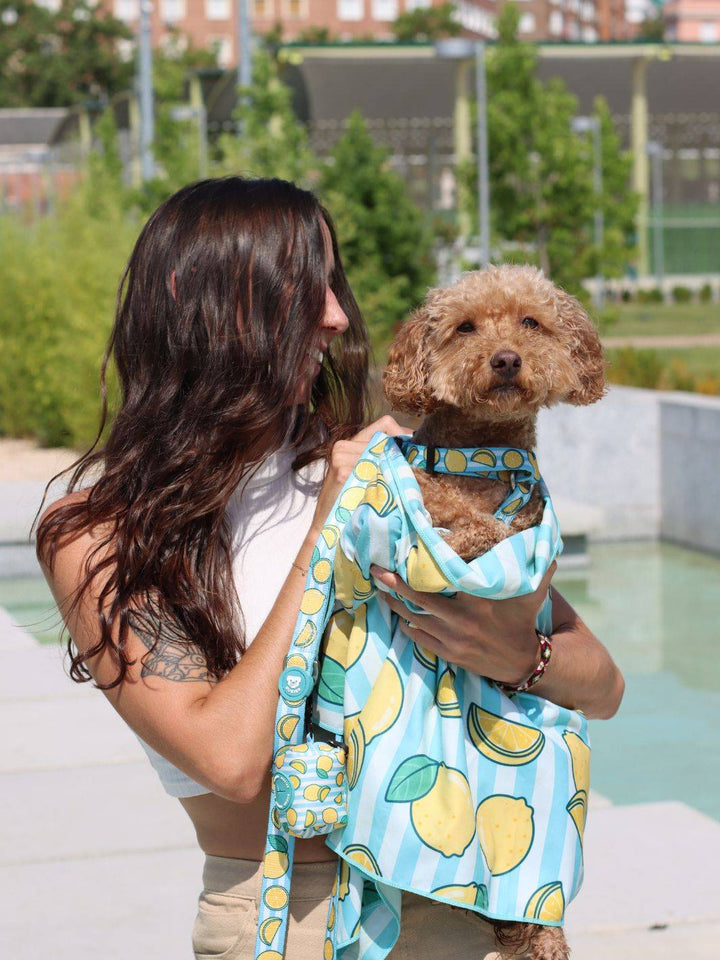 TOALLA PARA PERRO LEMONS