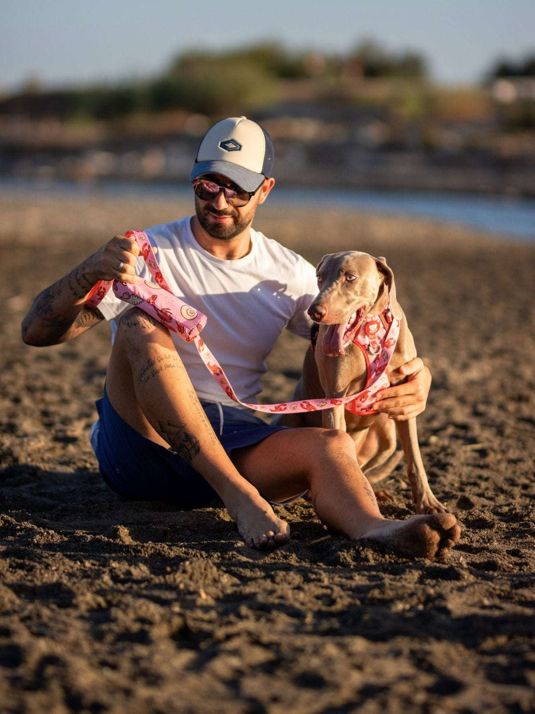 TOALLA PARA PERRO LOBSTERS