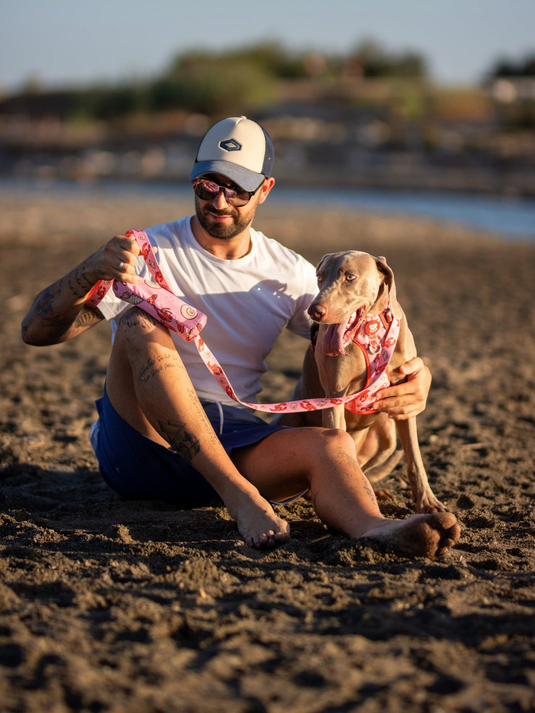 DOG TOWEL LOBSTERS