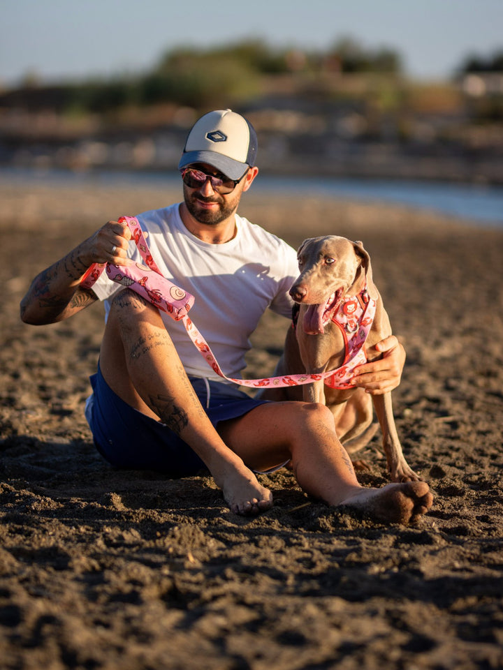 DOG TOWEL LOBSTERS
