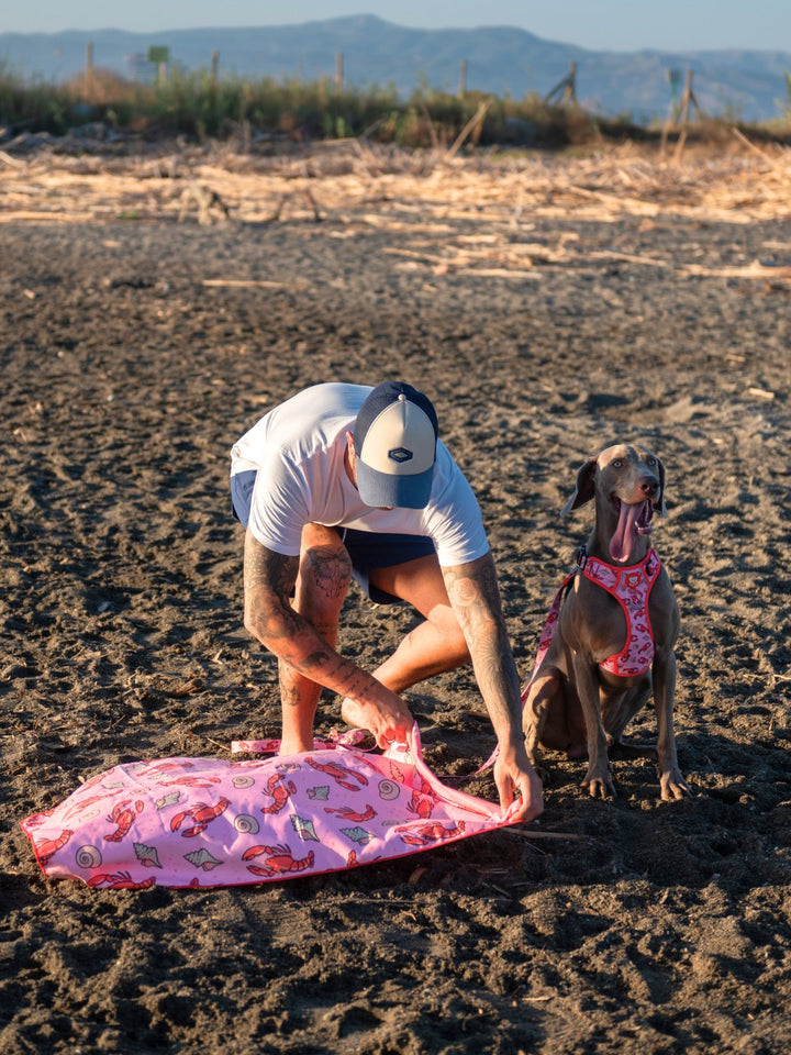 DOG TOWEL LOBSTERS