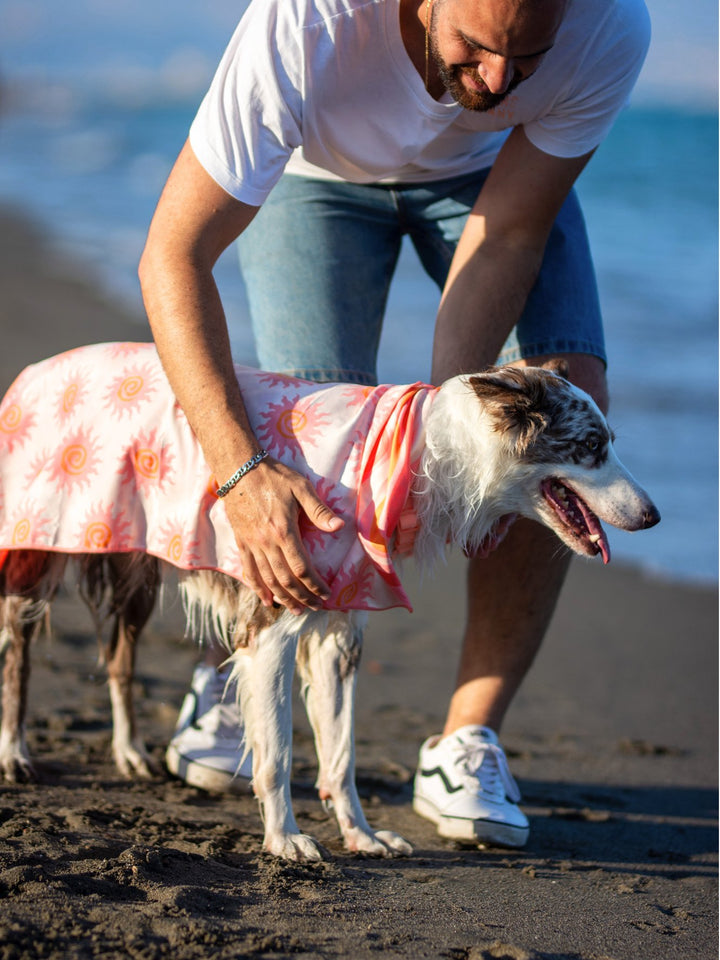 DOG TOWEL SUN
