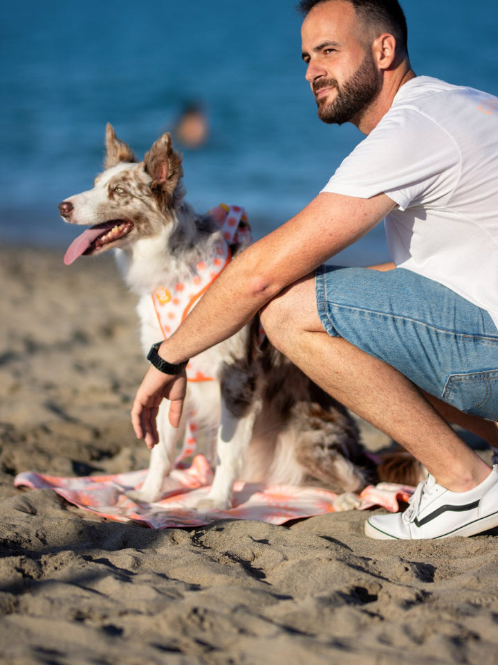 DOG TOWEL SUN