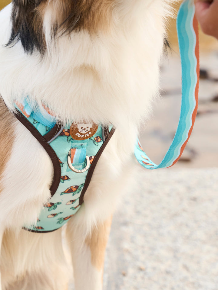 GUINZAGLIO PER CANI TURTLE