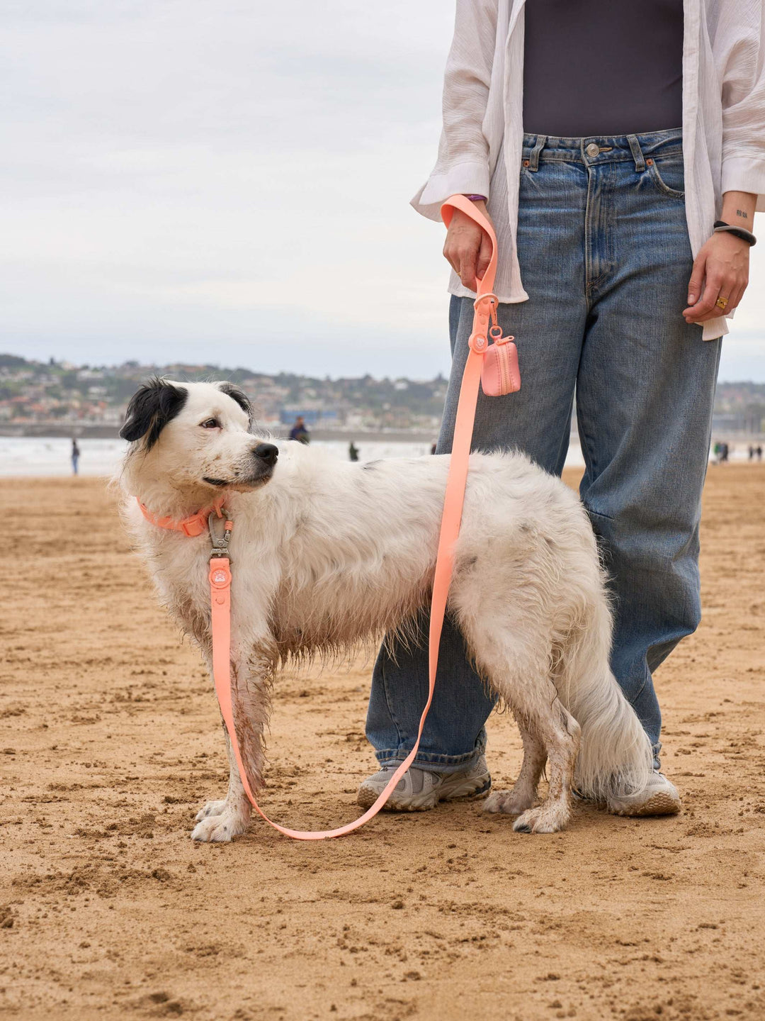 CORREA WATERPROOF PARA PERRO CORAL
