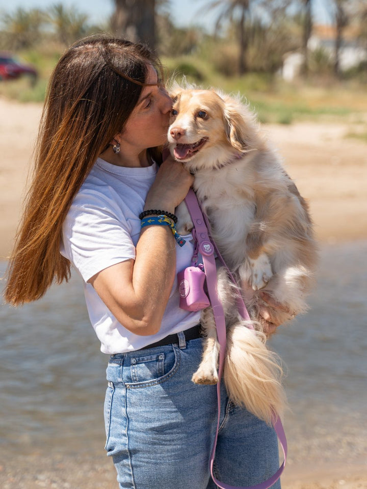 COLLAR WATERPROOF PARA PERRO MAUVE