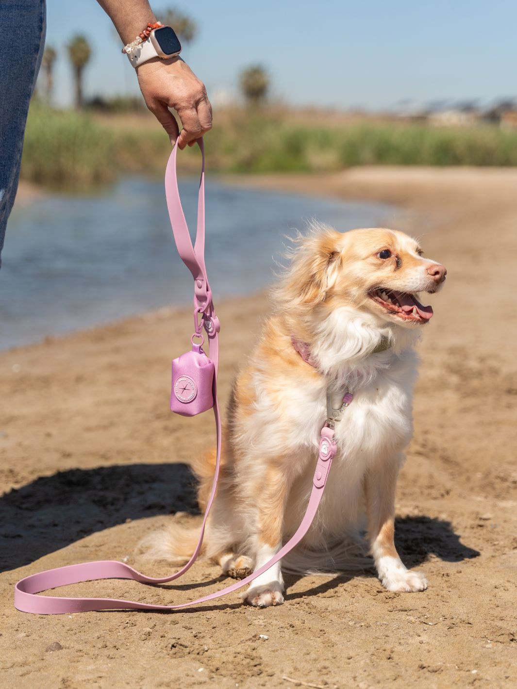 COLLAR WATERPROOF PARA PERRO MAUVE