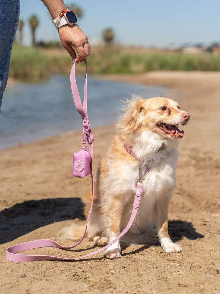COLLAR WATERPROOF PARA PERRO MAUVE