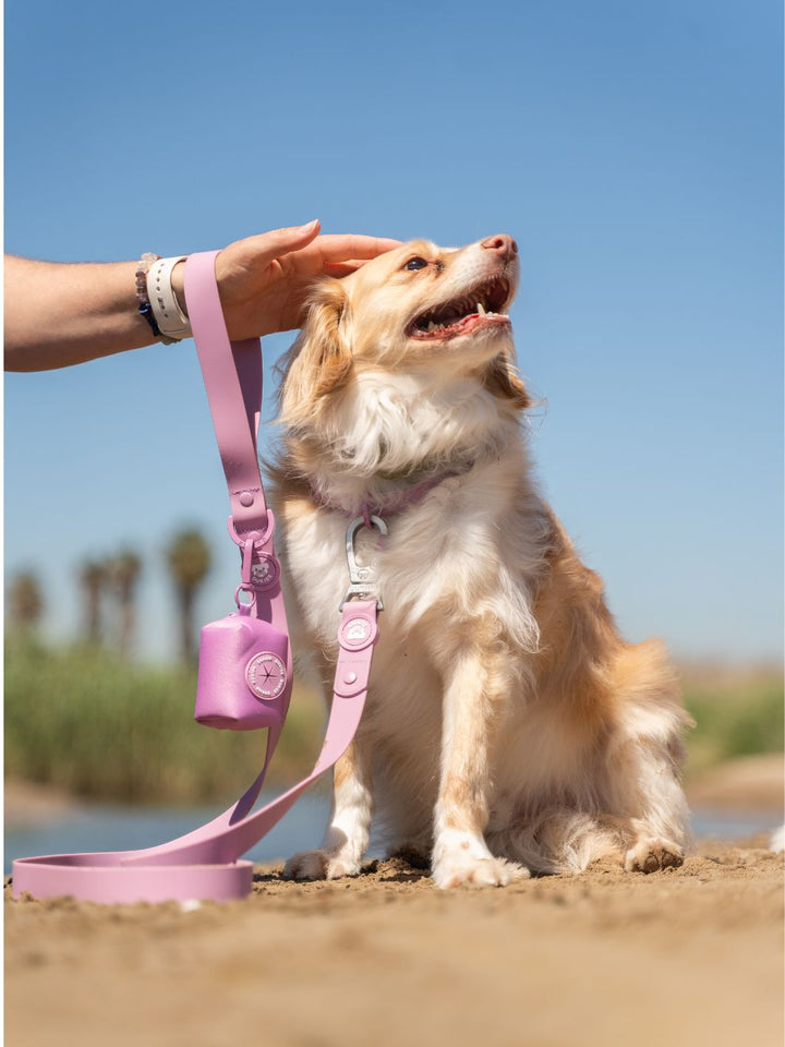 CORREA WATERPROOF PARA PERRO MAUVE