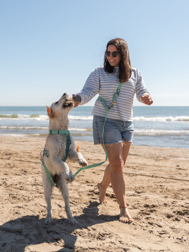 WATERPROOF HANDS-FREE LEASH JADE MINT