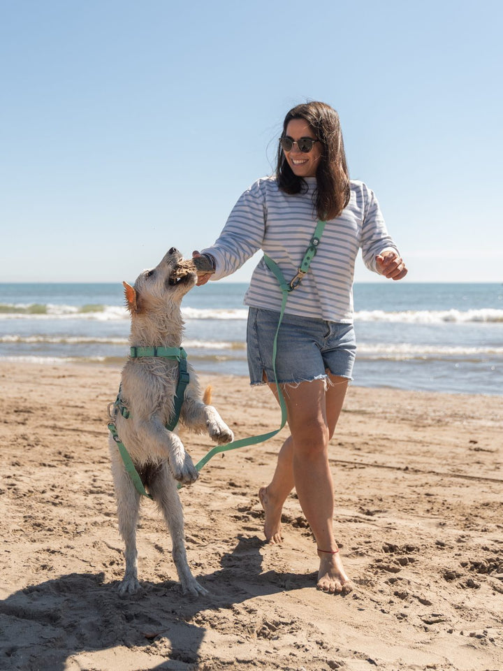 WATERPROOF DOG HARNESS JADE MINT