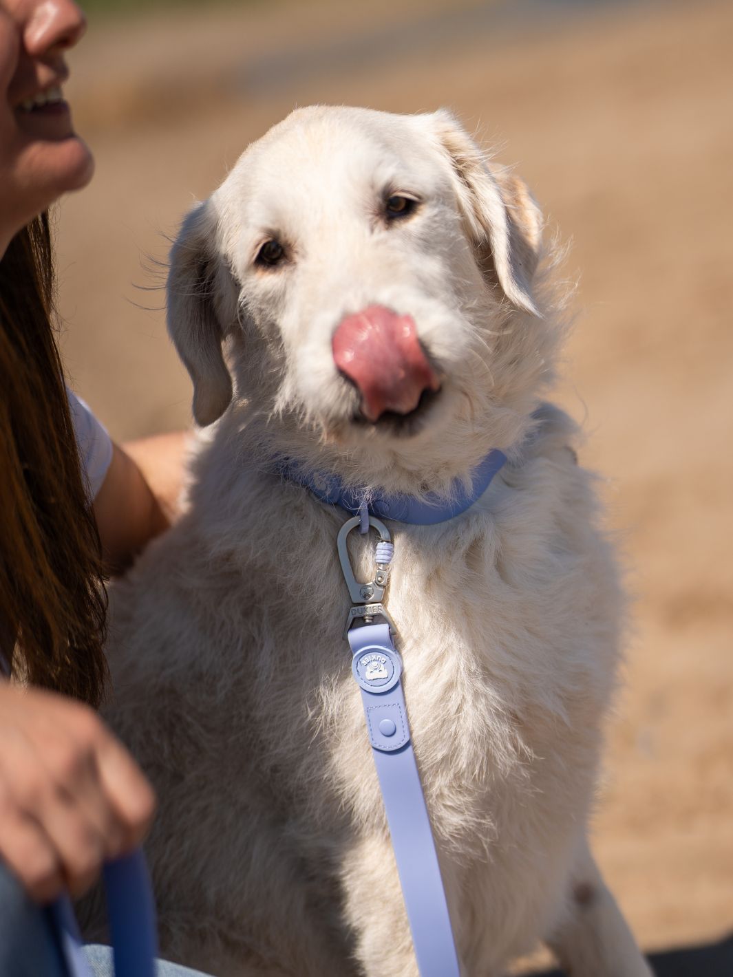 COLLAR WATERPROOF PARA PERRO BLUE LAVANDER