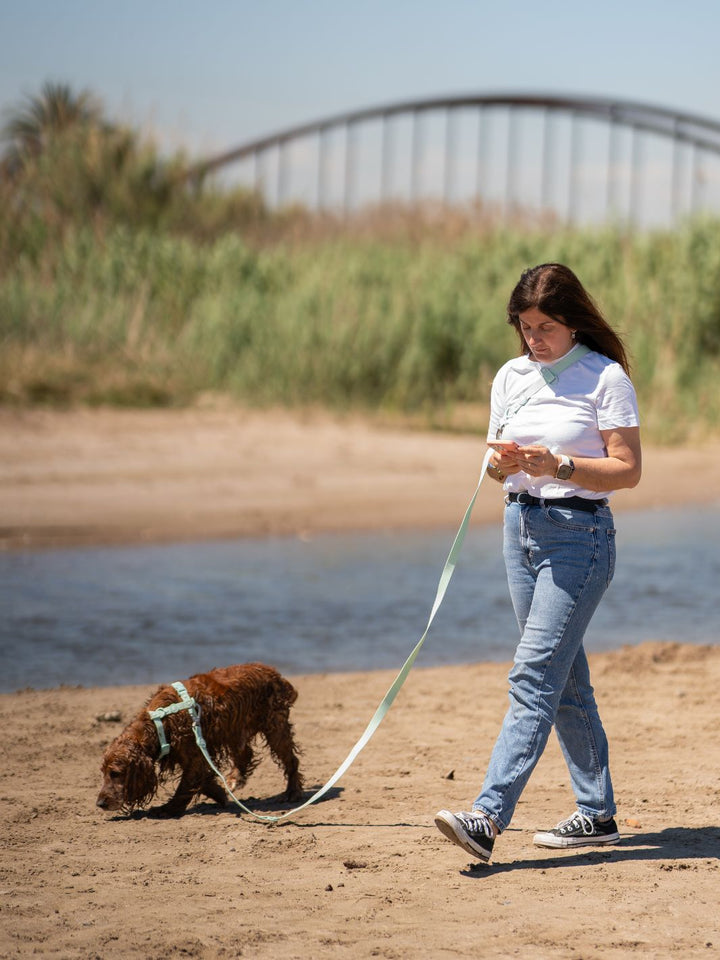 WATERPROOF HANDS-FREE LEASH TURQUOISE