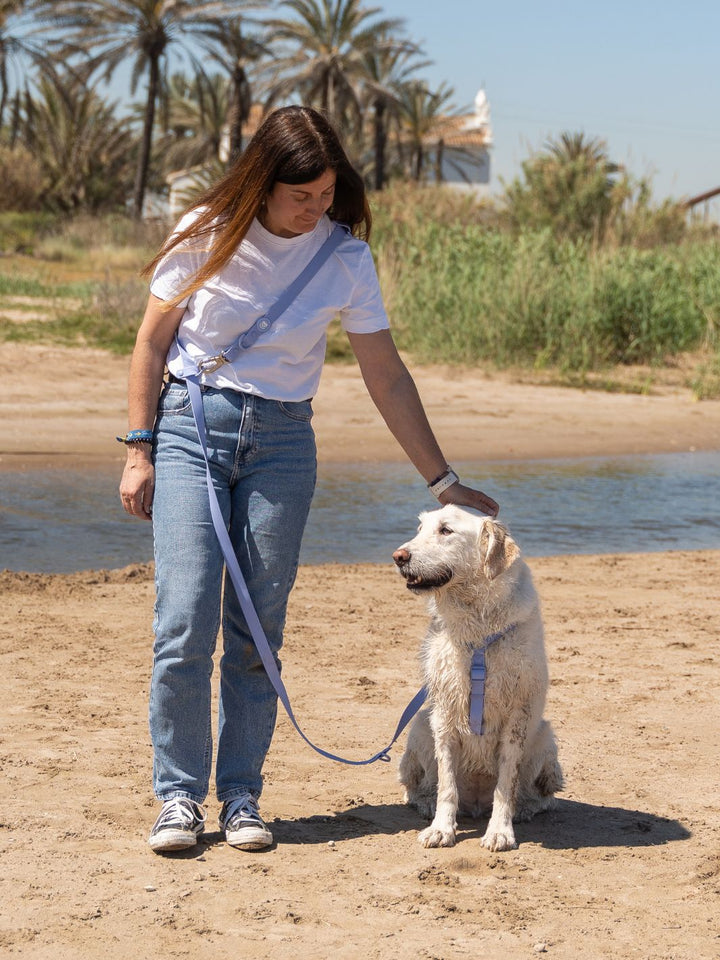 CORREA MULTIPOSICIÓN WATERPROOF PARA PERRO BLUE LAVANDER