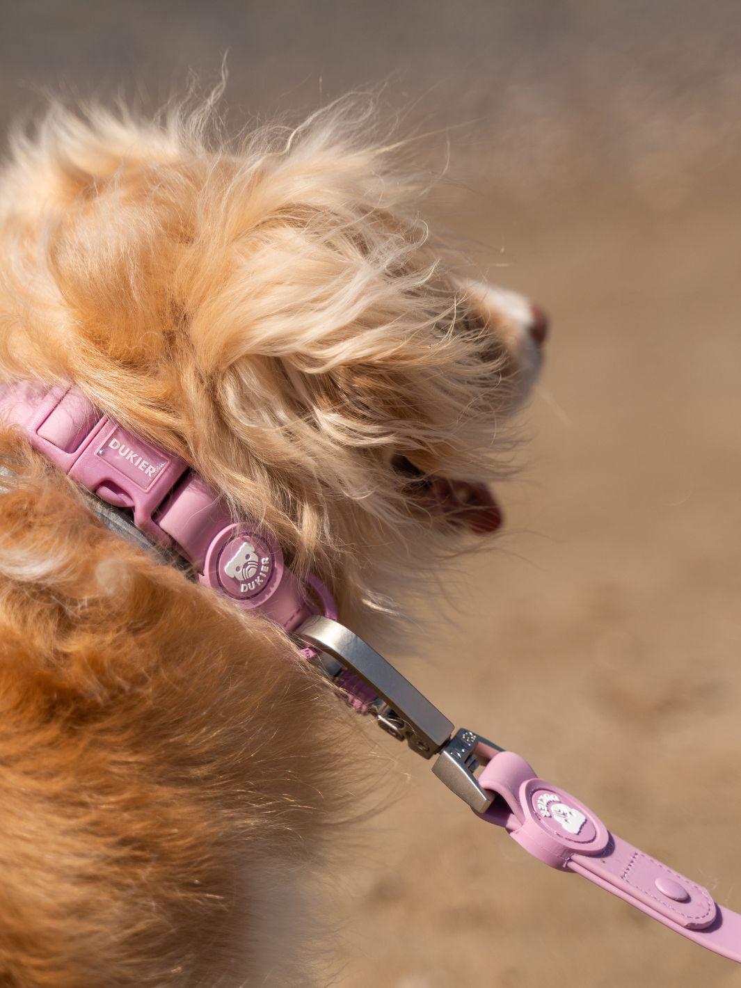 COLLAR WATERPROOF PARA PERRO MAUVE
