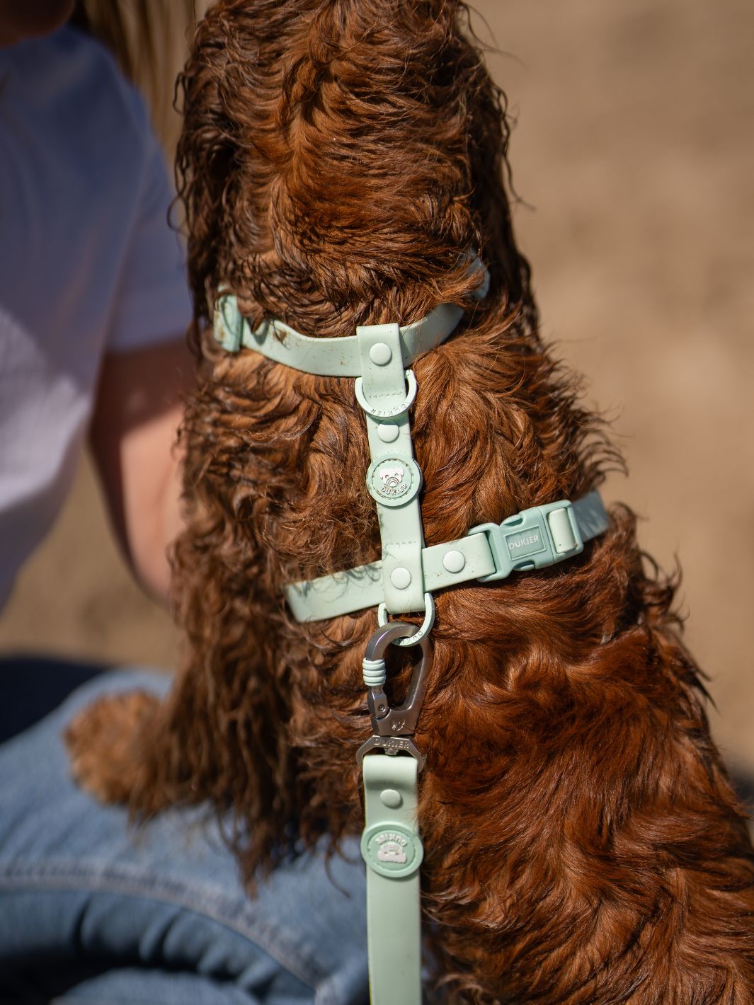 WATERPROOF HUNDEGESCHIRR TURQUOISE