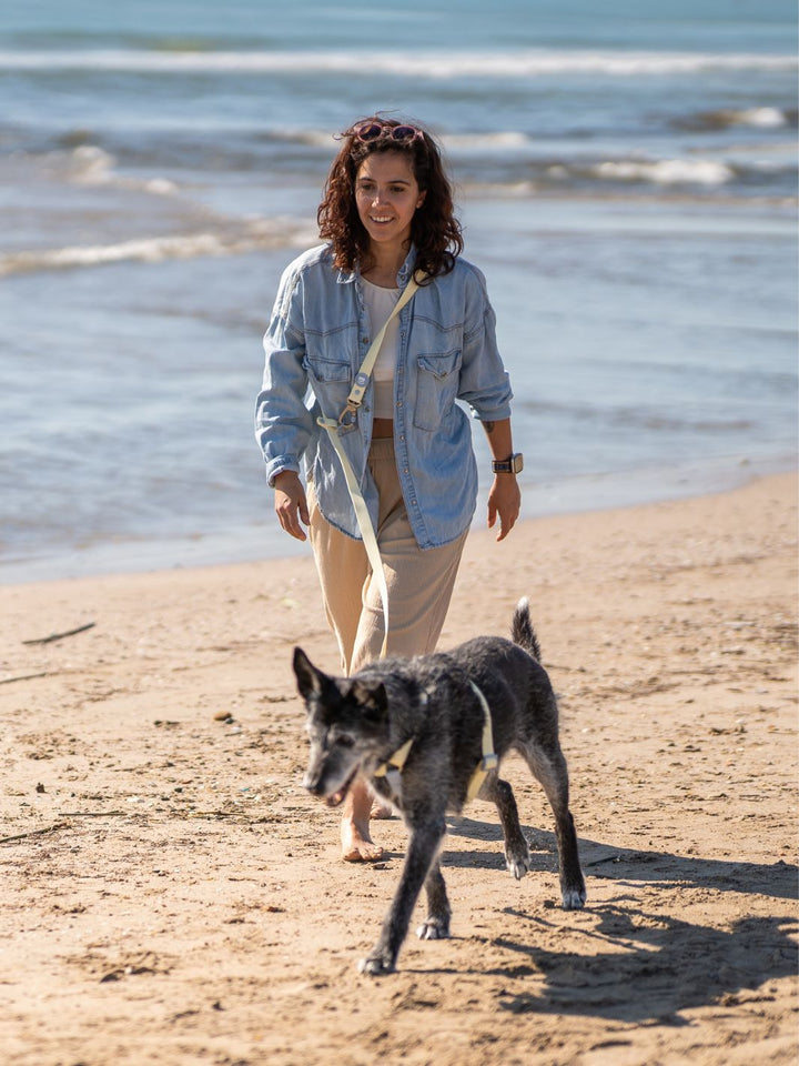 WATERPROOF HANDS-FREE LEASH VANILLA BLUE
