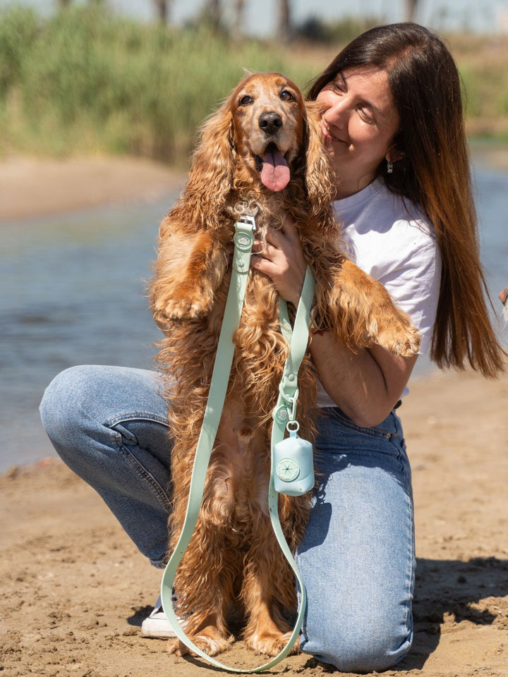 CORREA WATERPROOF PARA PERRO TURQUOISE