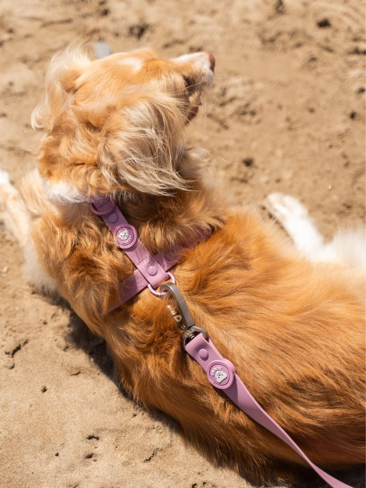 ARNES WATERPROOF PARA PERRO MAUVE