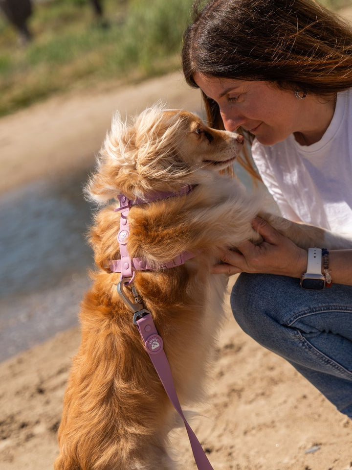 ARNES WATERPROOF PARA PERRO MAUVE