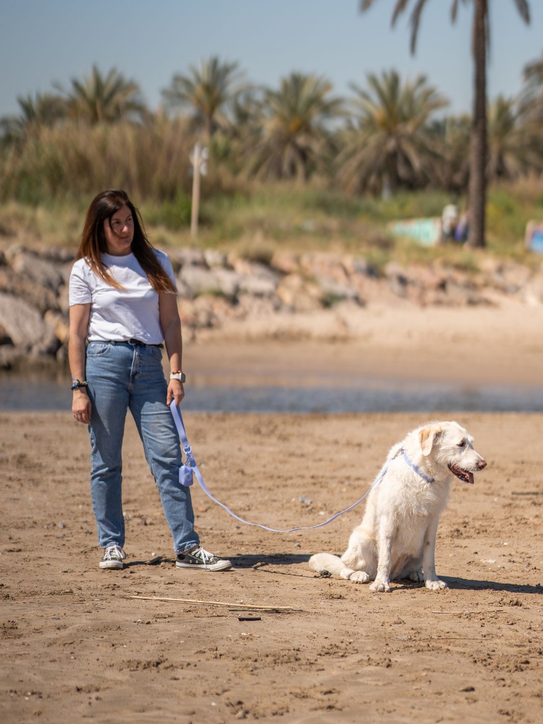 CORREA WATERPROOF PARA PERRO BLUE LAVANDER