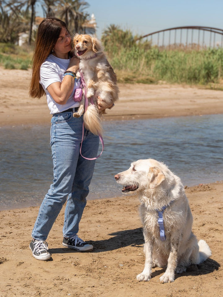 ARNES WATERPROOF PARA PERRO BLUE LAVANDER